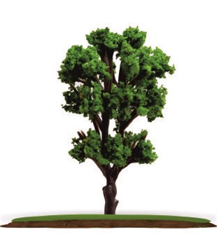 2'li Maket Ağaç 1:50 Ölçek 10 cm (VT1227-10)